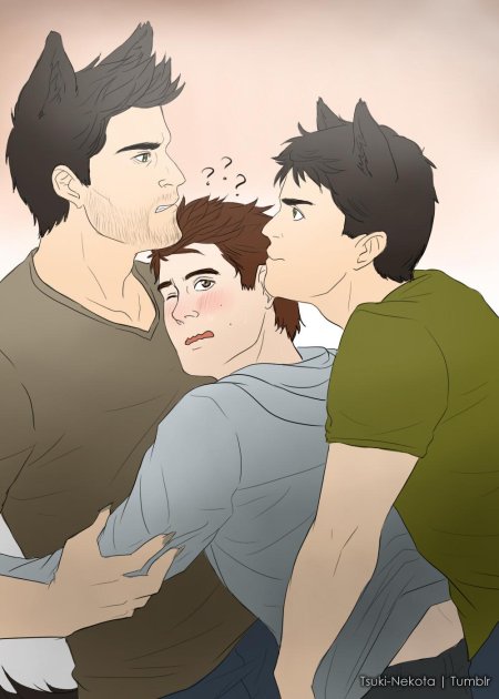 Стерек волчонок дерек