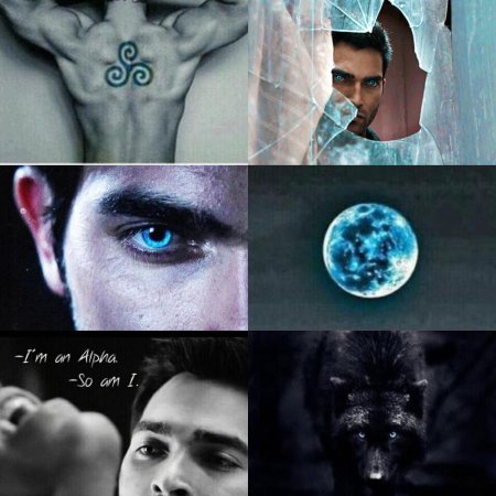 Волчонок дерек хейл