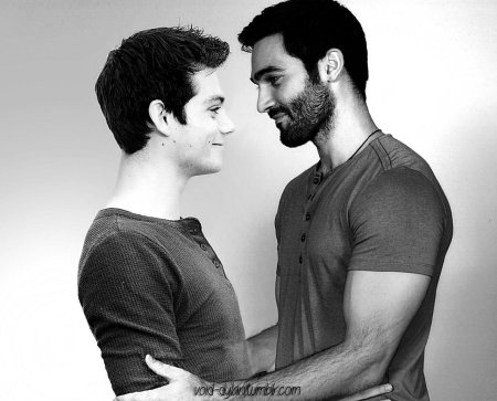 Волчонок дерек