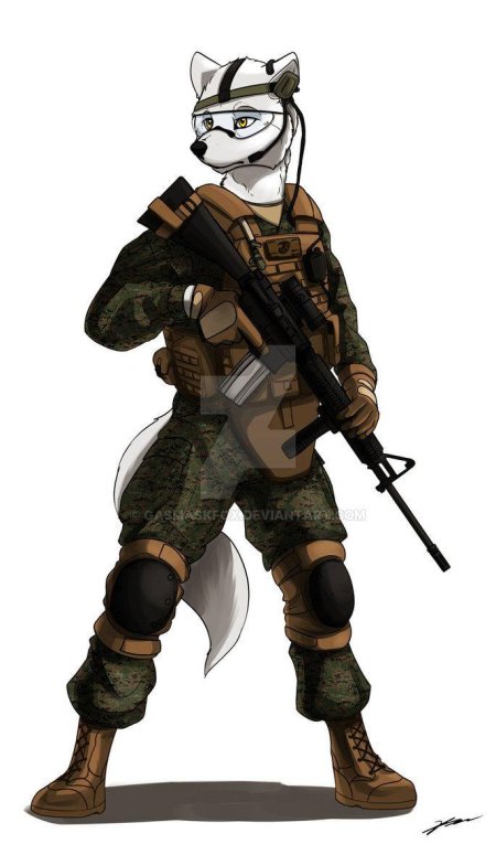 Фурри военные