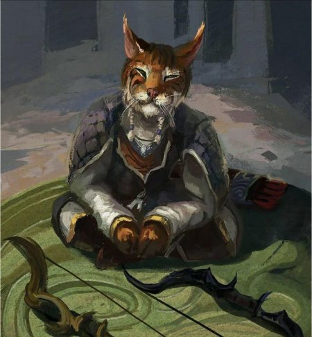 The elder scrolls каджит