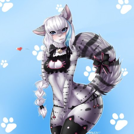 Фурри кошка