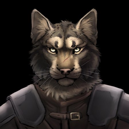 Каджит волк