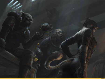 The elder scrolls каджитка