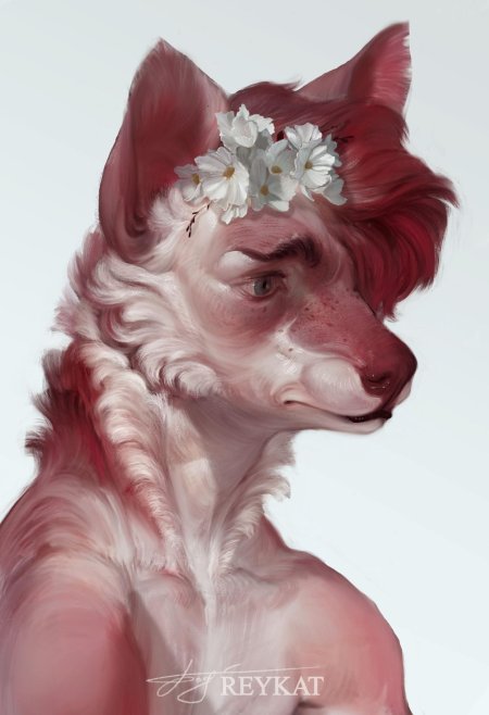 Голова фурри