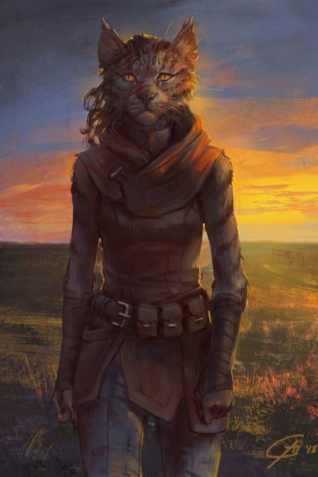 Альфик каджит