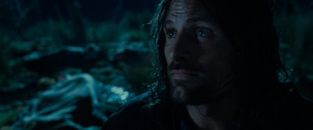 Властелин колец братство кольца арагорн