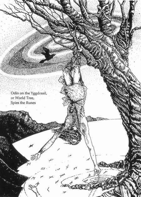 Бог один висел на древе иггдрасиль
