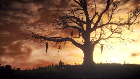 Дерево висельников ведьмак