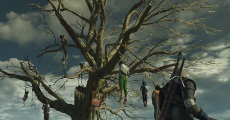 Велен ведьмак дерево висельников