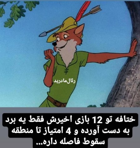 Робин гуд мультфильм