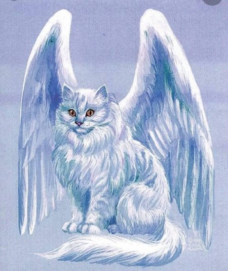 Крылатая кошка