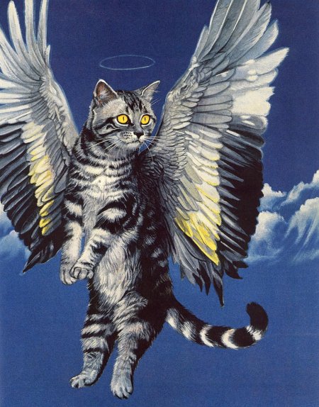 Крылатая кошка