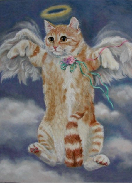 Кошка ангел