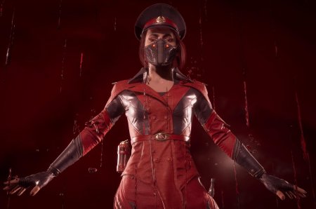 Мортал комбат скарлет