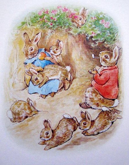 Беатрис поттер иллюстрации