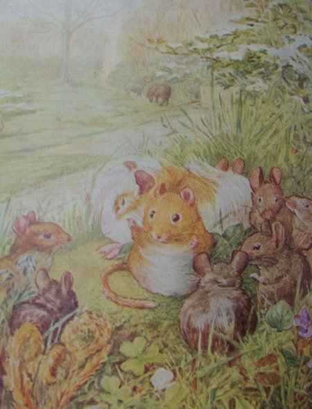 Беатрис поттер