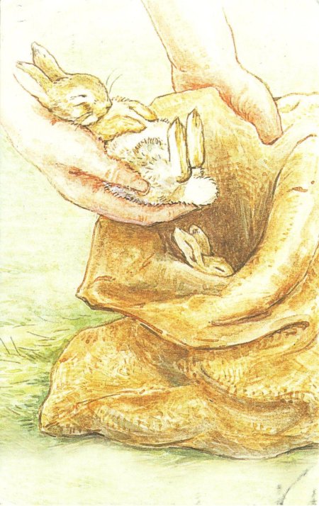 Беатрис поттер иллюстрации с зайцами