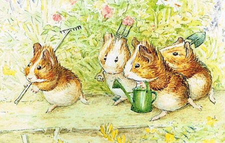 Беатрикс поттер иллюстрации