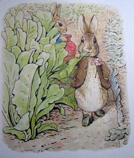 Беатрис поттер \ питер-кролик\