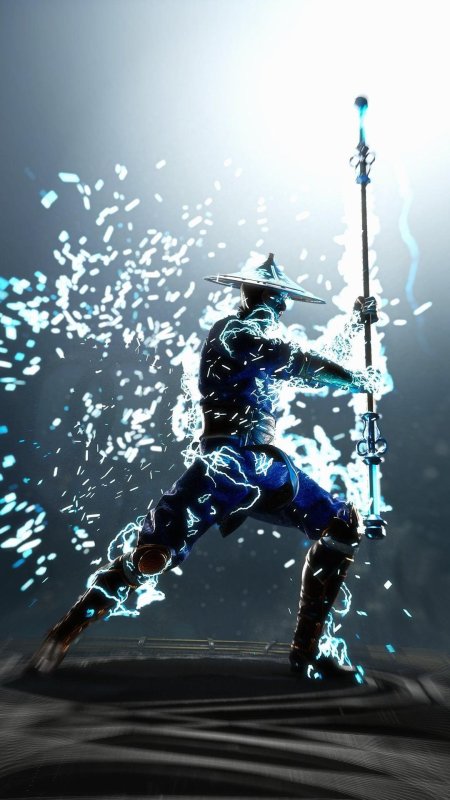 Рейден мортал