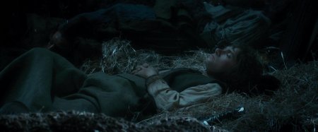 Фродо бэггинс в паутине