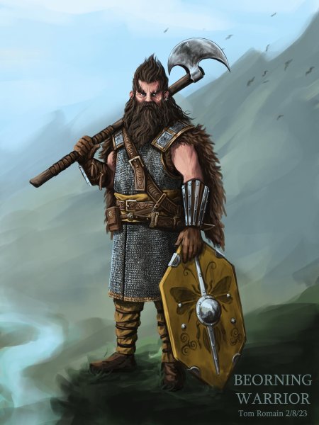 Скандинавские воины