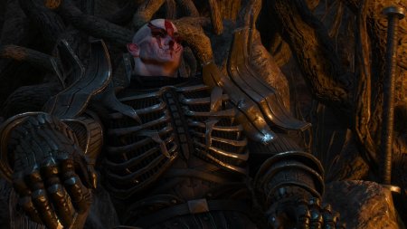 Имлерих ведьмак 3