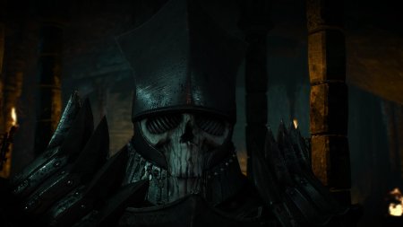 Дикая охота ведьмак нитраль