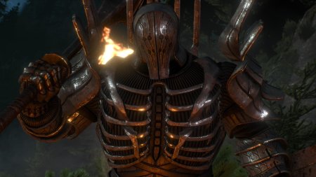 Ведьмак дикая охота имлерих