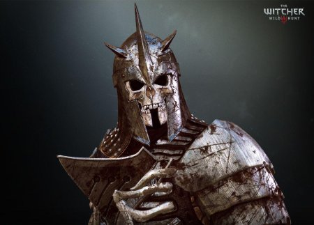 Ведьмак рыцари дикой охоты