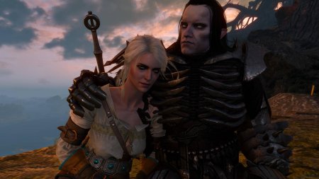 Эредин и цири