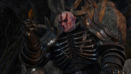 Имлерих ведьмак 3