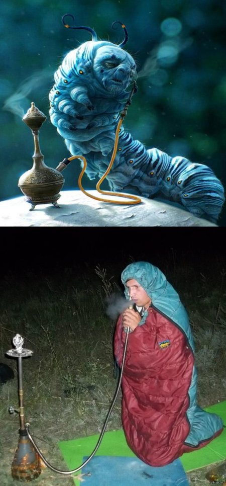 Абсолем гусеница