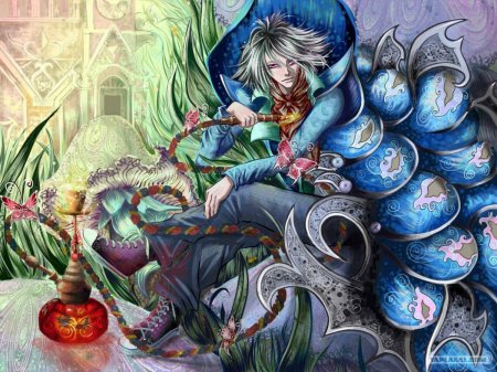 Абсолем алиса