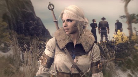 Ведьмак 3 цири