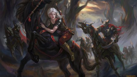 Ведьмак цири арт