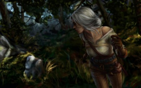 Ведьмак цири арт