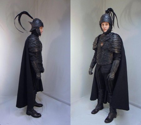 Нильфгаард доспехи нетфликс