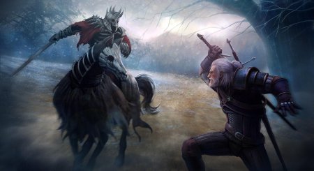 Ведьмак : дикая охота