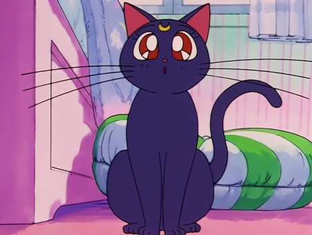 Сейлормун кошка луна