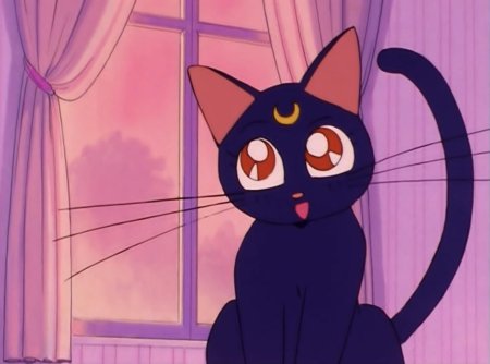 Сейлормун кошка луна