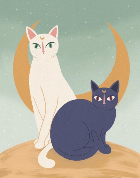 Сейлормун сейлор луна кошка
