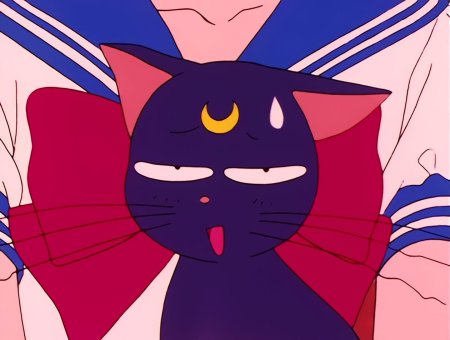 Сейлормун кошка