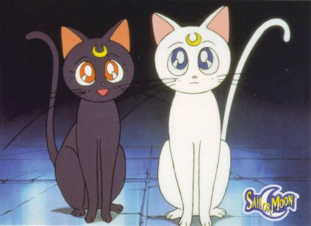 Луна сейлормун кошка
