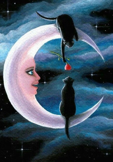 Кот и луна