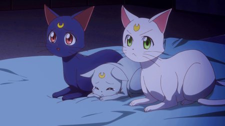 Сейлормун кошка луна