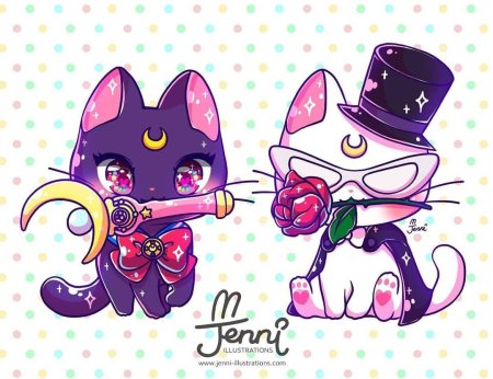 Sailor moon cat