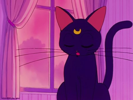 Сейлормун кошка луна