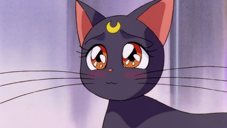 Сейлормун кошка луна